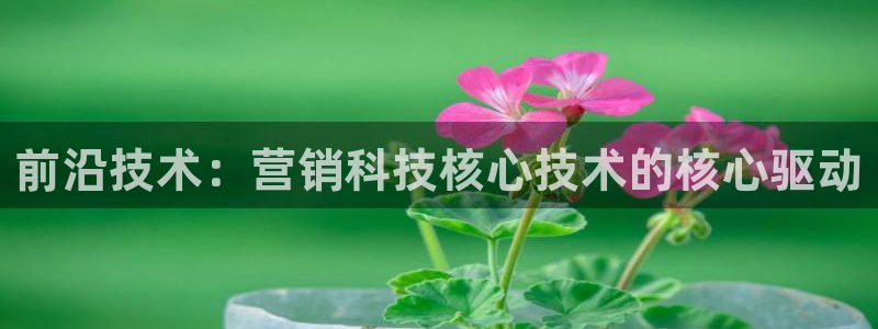 金年会体育平台怎么样