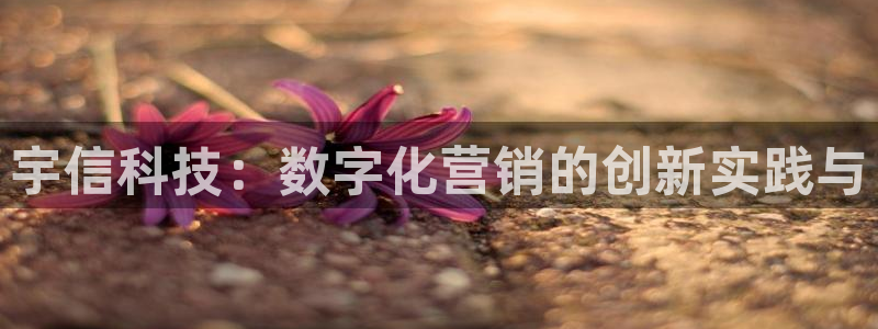 金年会官方平台是什么