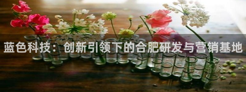 金年会电子官网下载