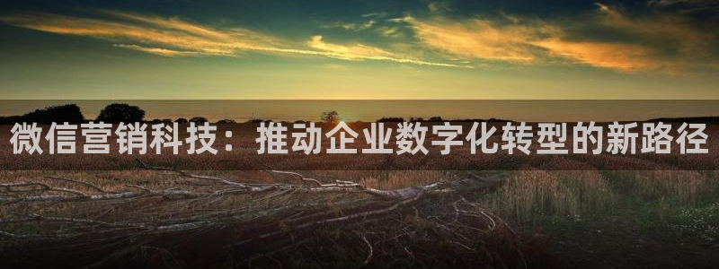 金年会官方app下载官网