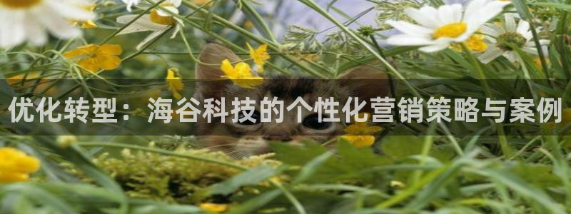 金年会app平台有人玩过吗