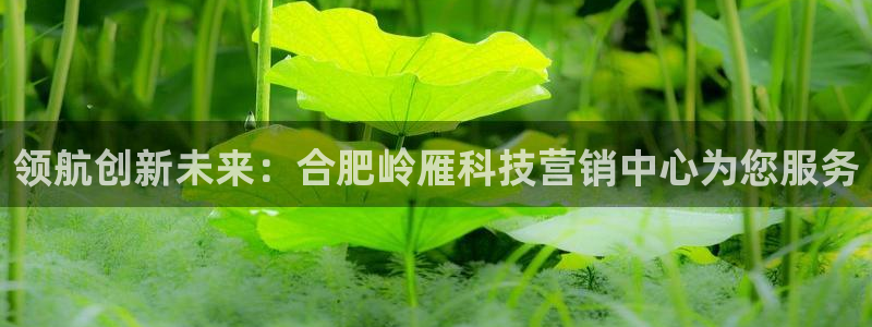 金年会体育app官网入口网址