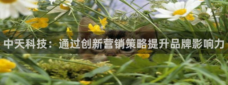 金年会体育论坛